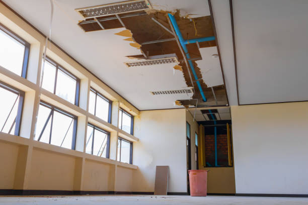 Best Professional water damage repair  in Ellitt, CO