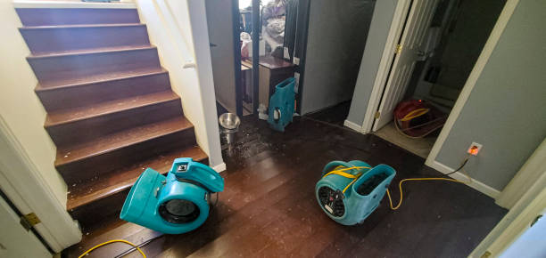 Best Flood damage cleanup  in Ellitt, CO