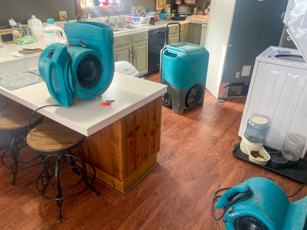 Best Sewage cleanup and water damage restoration  in Ellitt, CO