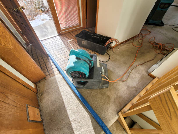  Ellitt, CO Water damage restoration Pros