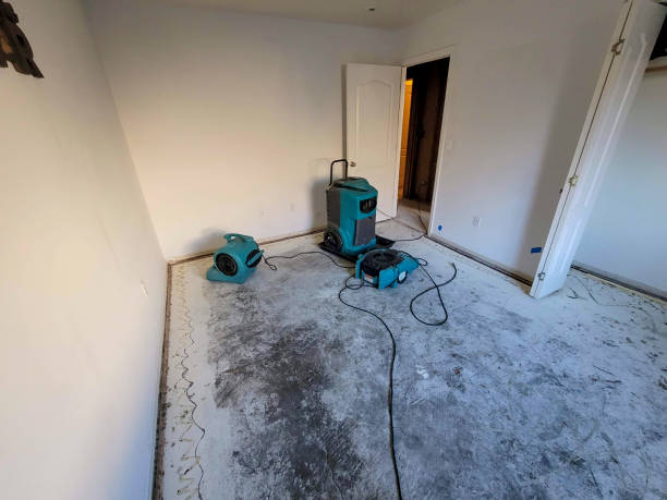 Water damage restoration experts in CO