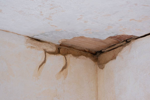 Best Water damage restoration near me  in Ellitt, CO
