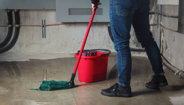 Best Water damage cleanup near me  in Ellitt, CO
