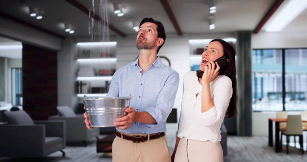 Best Water damage contractors near me  in Ellitt, CO