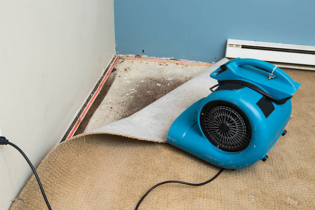 Best Residential water damage restoration  in Ellitt, CO